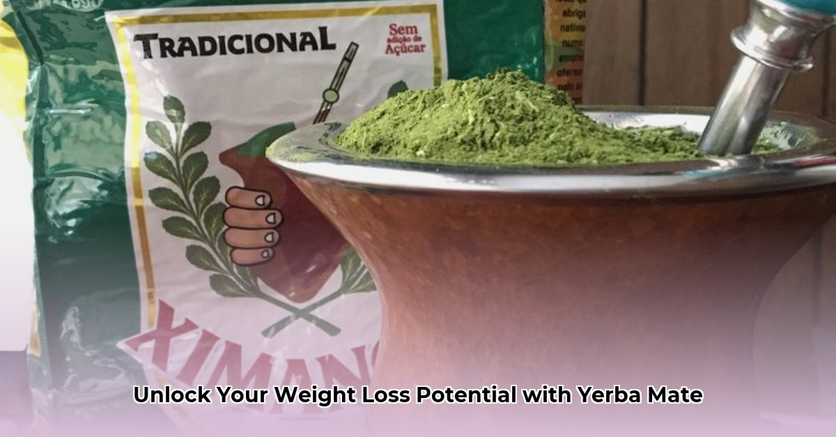 best-yerba-mate-brand-for-weight-loss